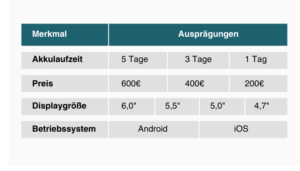 Conjoint Analyse Beispiel Produktausprägungen