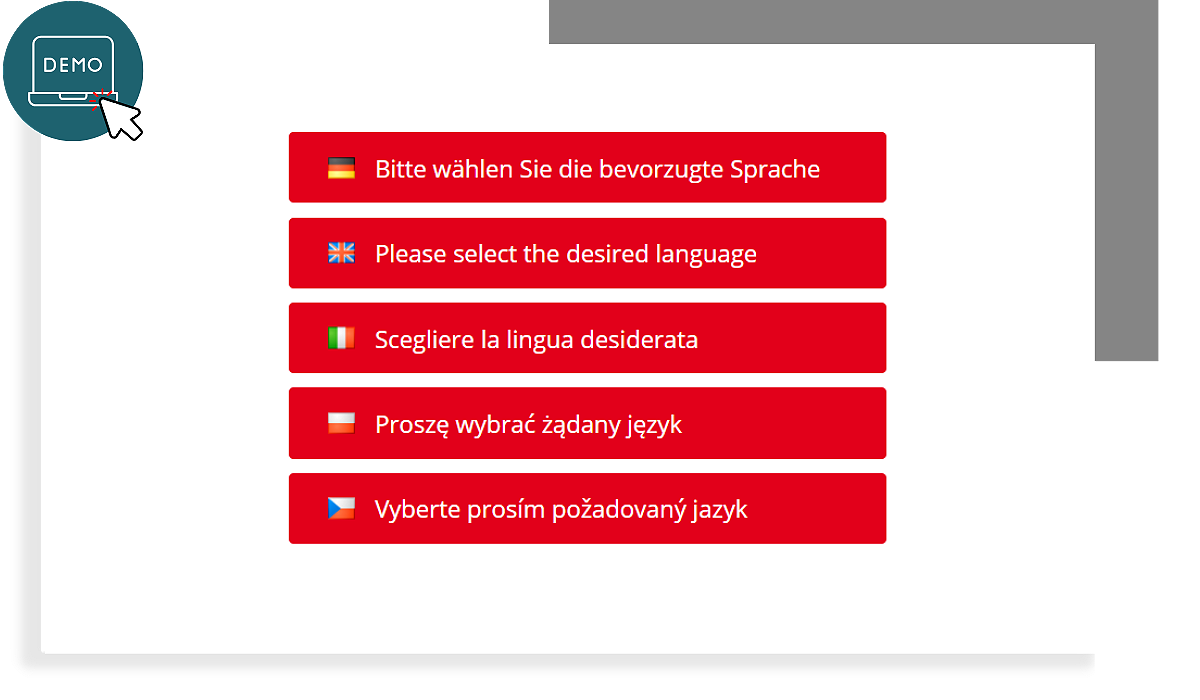 Sprachauswahl Demo internationale Kundenbefragung