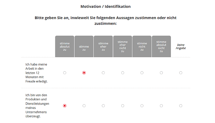 Mitarbeiterfeedback Demo-Befragung Motivation