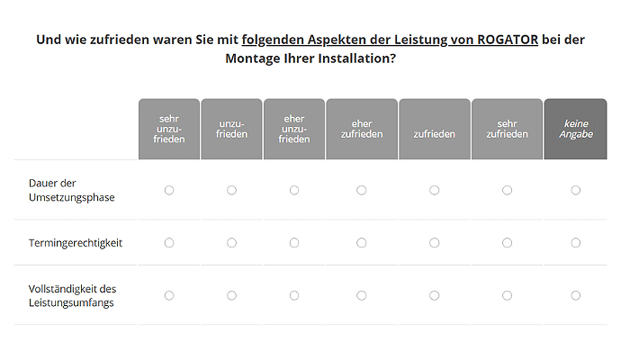 NPSplus kundenspezifische Detailfrage Beispiel