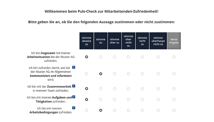 Puls-Check Demo-Befragung zu Mitarbeitenden-Zufriedenheit
