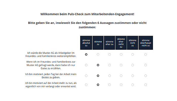 Puls-Check Demo-Befragung zu Mitarbeitenden-Engagement