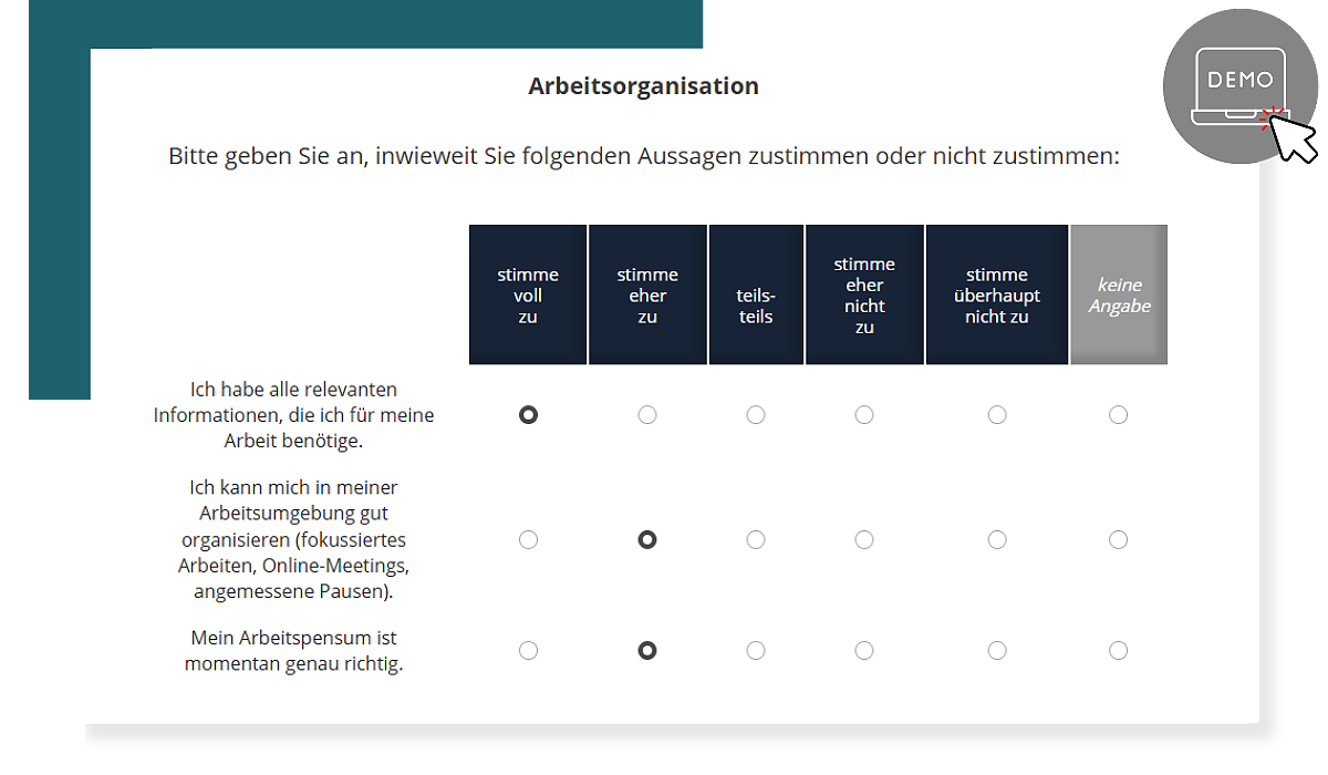 Team-Navigator Demo-Fragebogen Beispiel Item zur Arbeitsorganisation