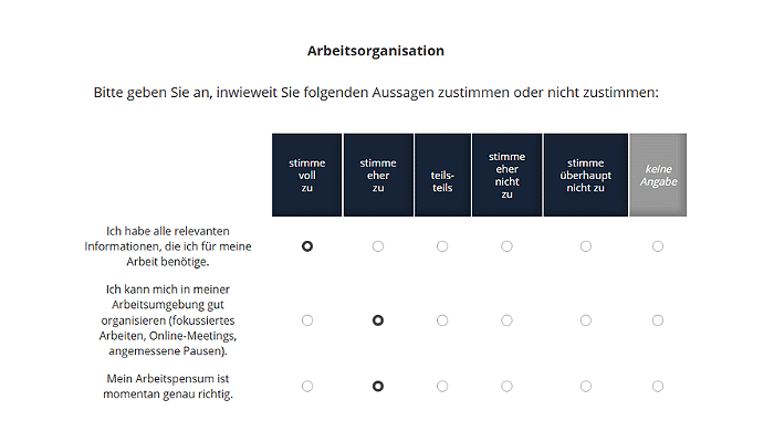 Team-Navigator Demo-Fragebogen Beispiel Item zur Arbeitsorganisation