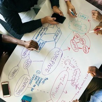 Team plant Websitegestaltung.