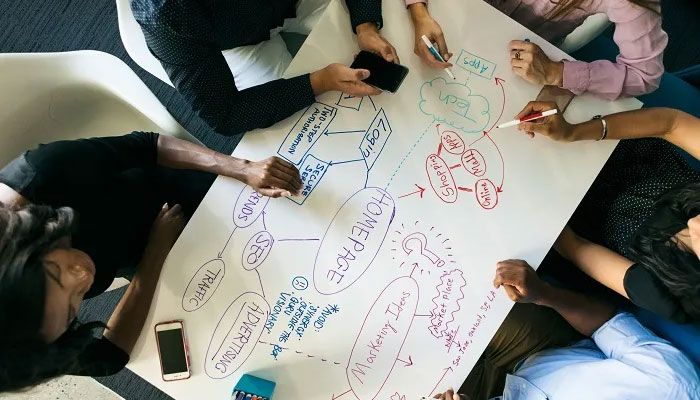 Team plant Websitegestaltung.