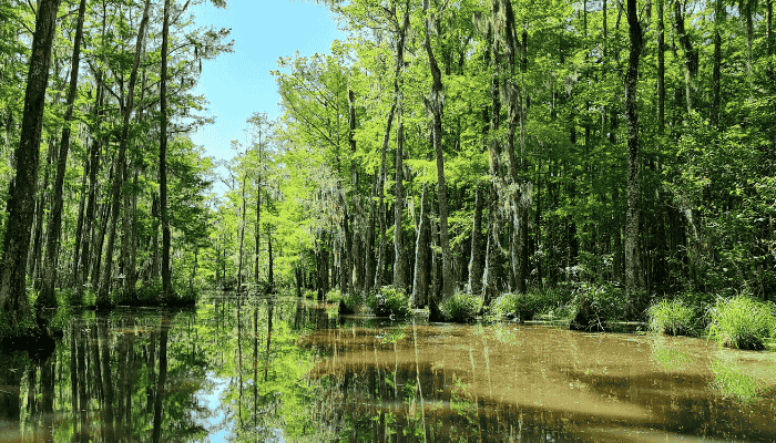 Eine wunderschöne Moorlandschaft