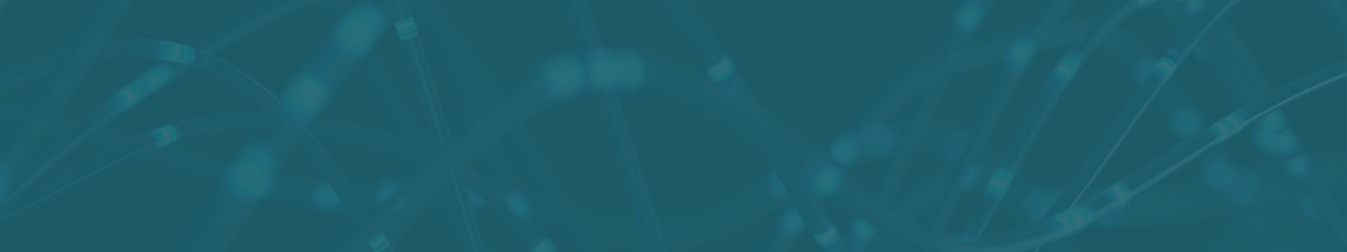 Bannerbox WDM 26 Hintergrund