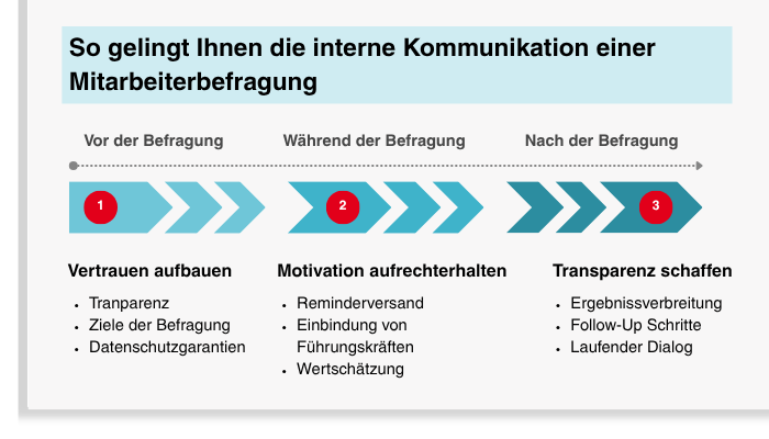 Ablauf interner Kommunikation bei Mitarbeiterbefragungen