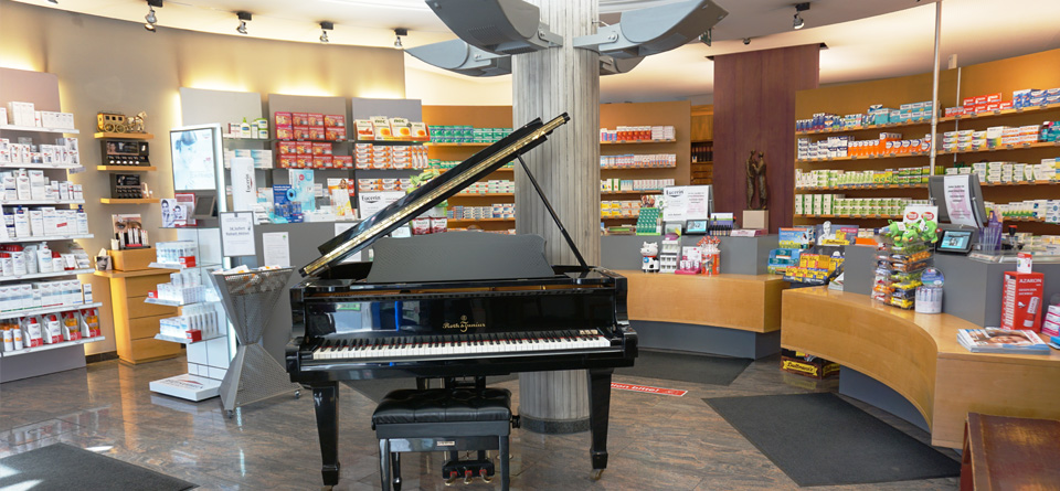 Urna condimentum mattis