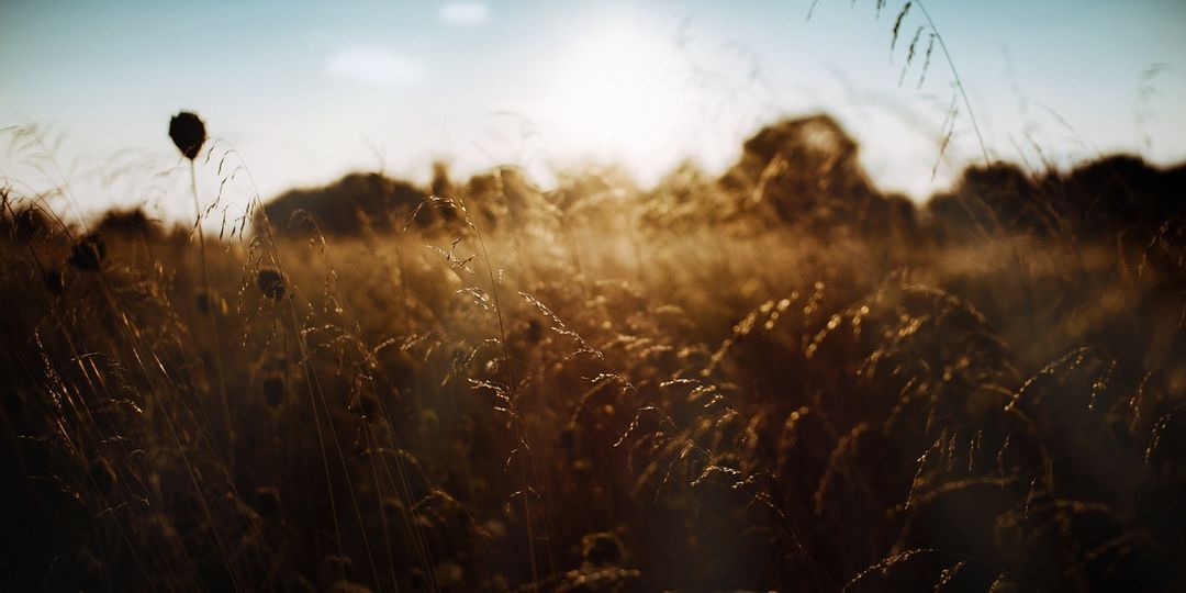 © Ruslan Sikunov / pixabay.de