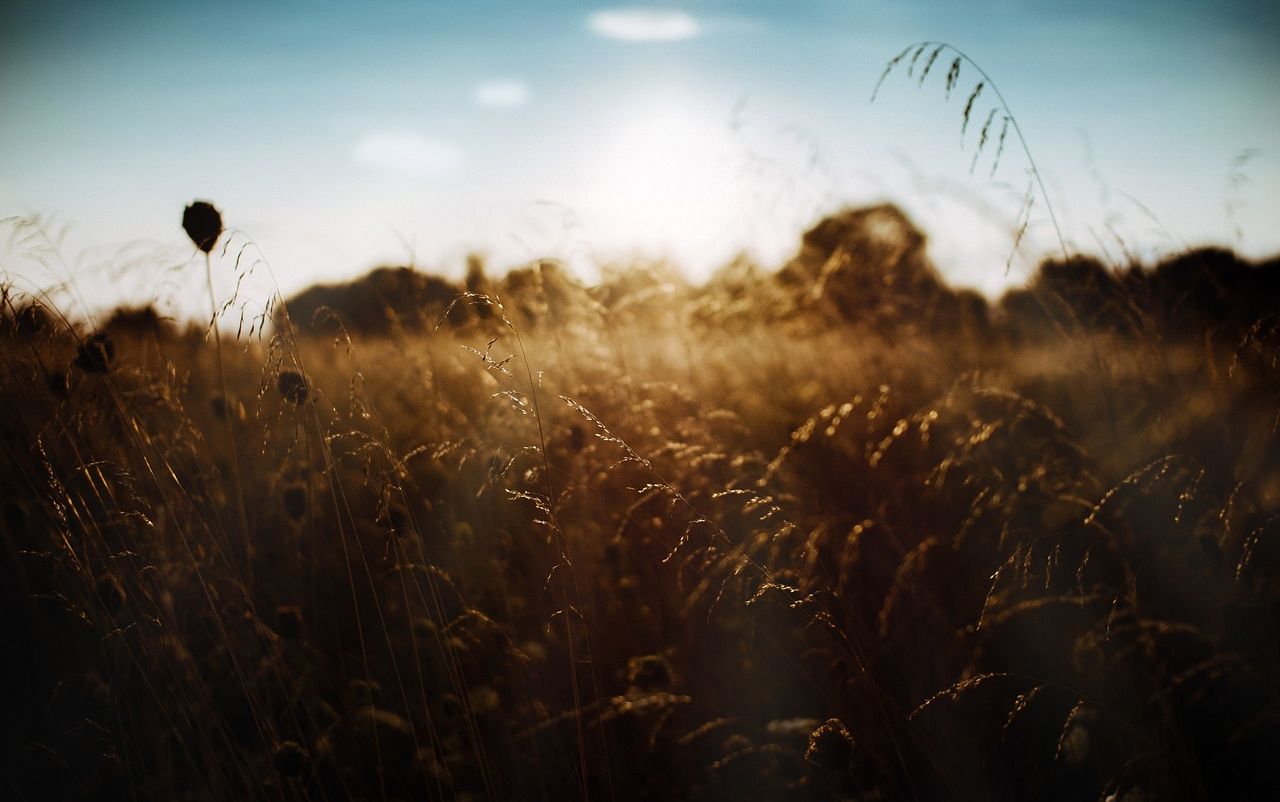 © Ruslan Sikunov / pixabay.de