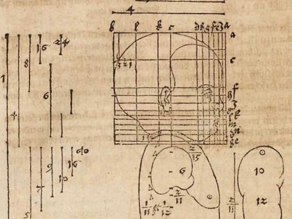 Kinderkopf von Dürer mit flacher Nase – Beispiel altersbedingter Gesichtsproportion