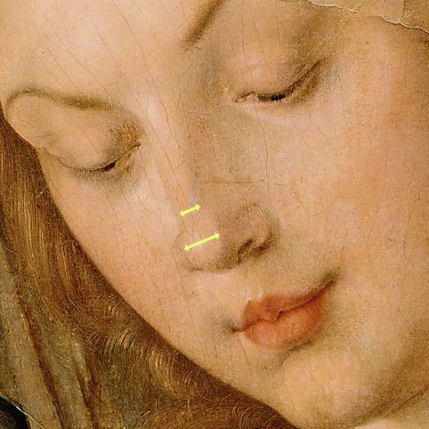 Vergleich Nasenspitze und Nasenrücken bei Dürers Maria mit der Birnenschnitte