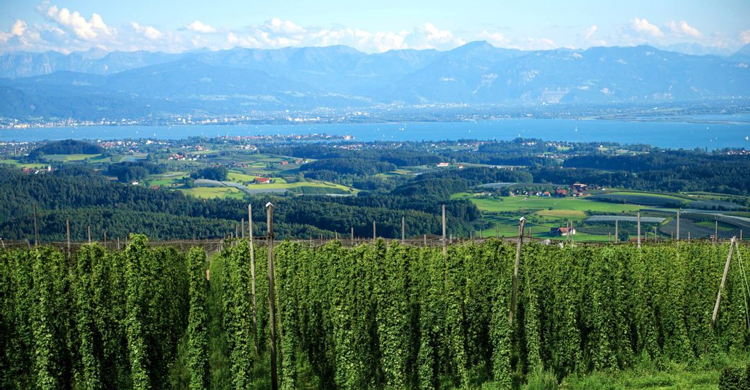 Ausschreibung Kulturlandschaftspreis 2026