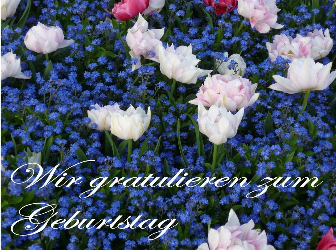 Wir gratulieren unseren Altersjubilaren im Mai