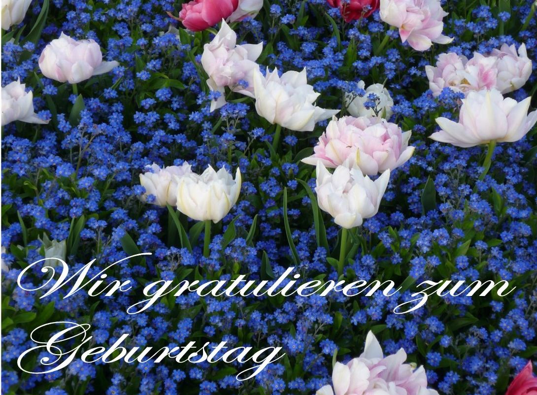 Wir gratulieren unseren Altersjubilaren im Juni