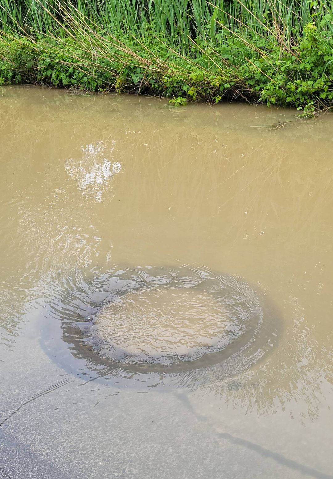 Hochwasser: Bitte helfen Sie, die Abwasserkanäle zu entlasten