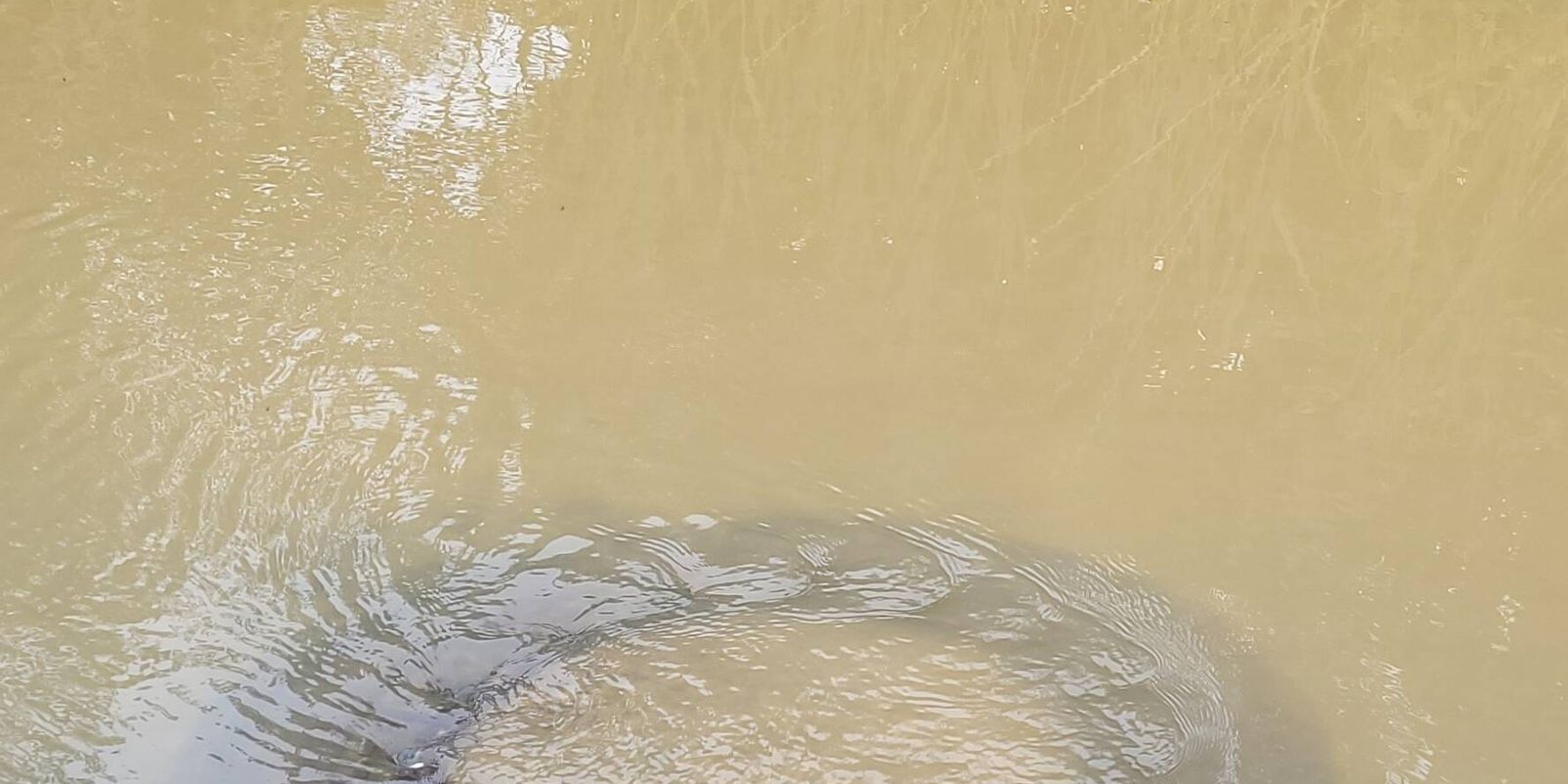Hochwasser: Bitte helfen Sie, die Abwasserkanäle zu entlasten