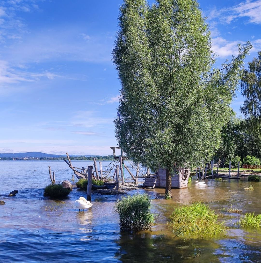 Aktuelle Information zum Badeverbot im Bodensee