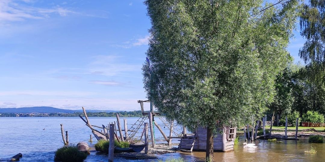 Aktuelle Information zum Badeverbot im Bodensee