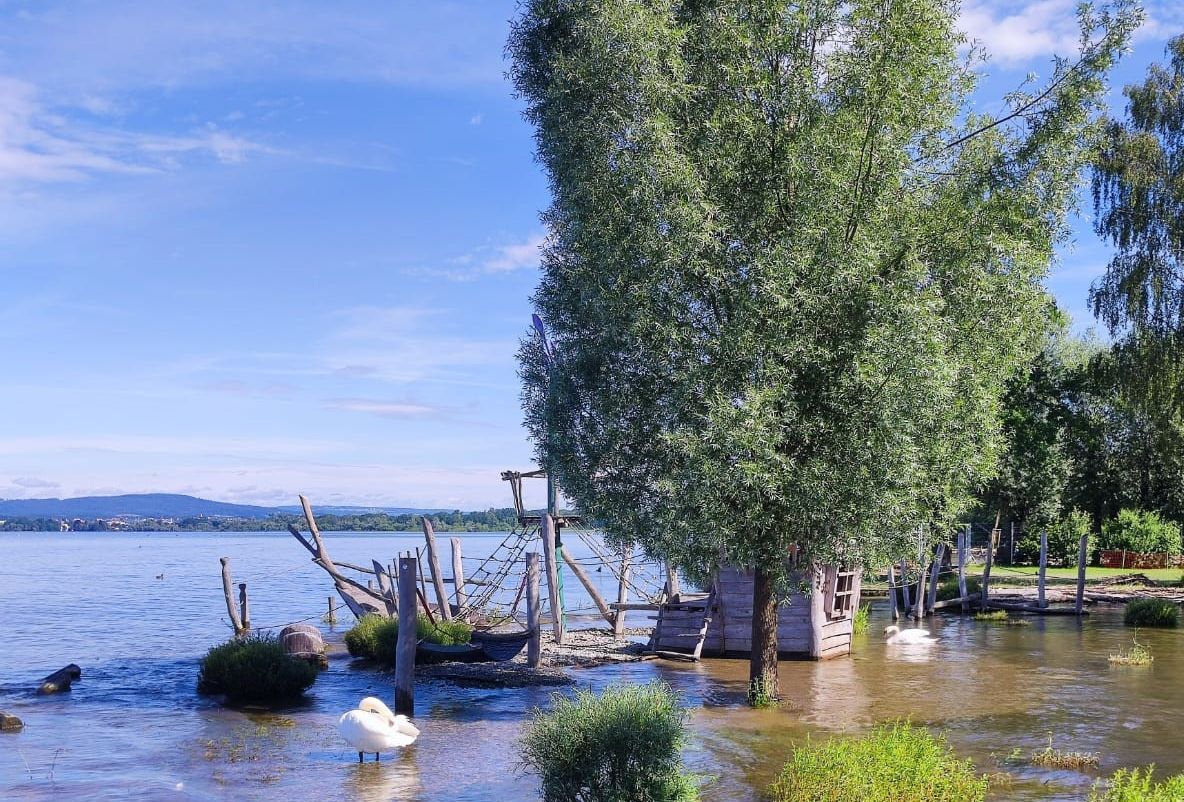 Aktuelle Information zum Badeverbot im Bodensee