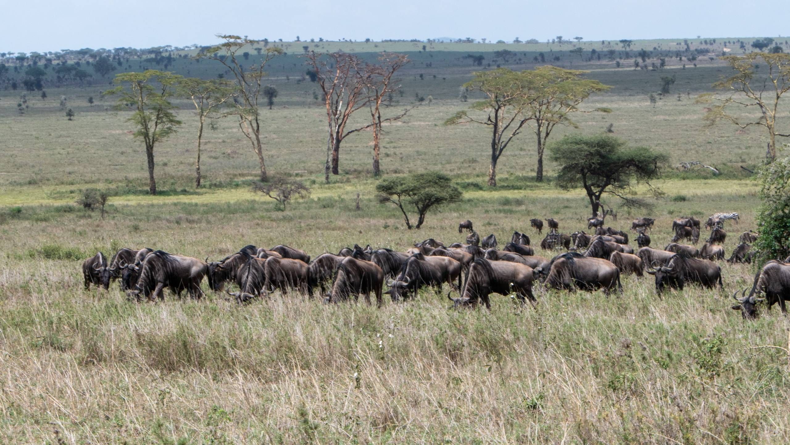 MÄX Gruppe Tansania