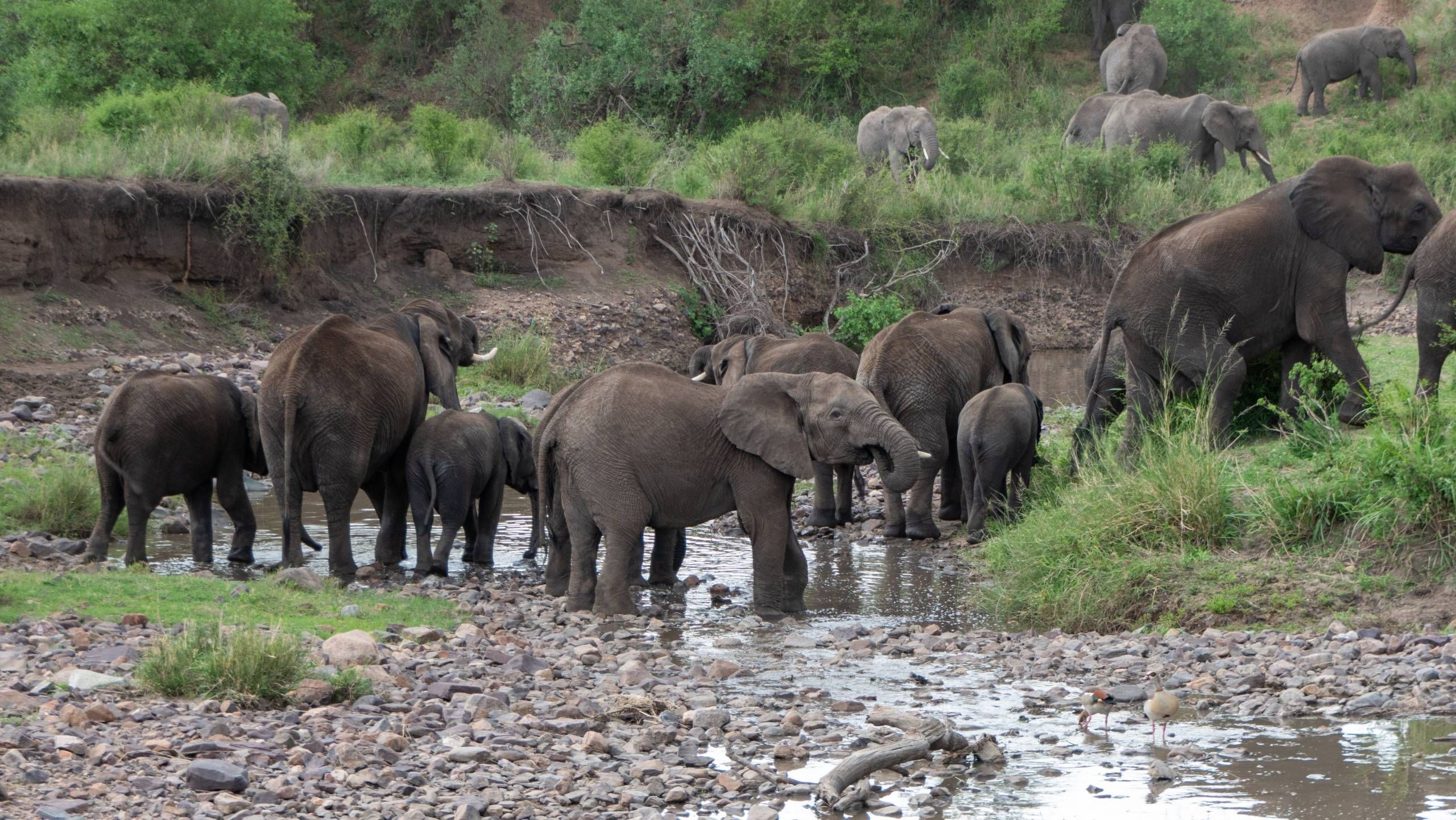MÄX Gruppe Tansania