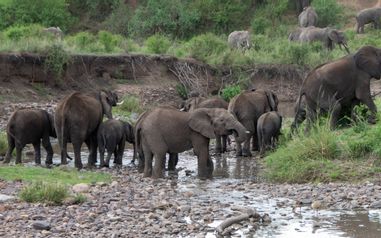 MÄX Gruppe Tansania