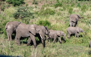 MÄX Gruppe Tansania