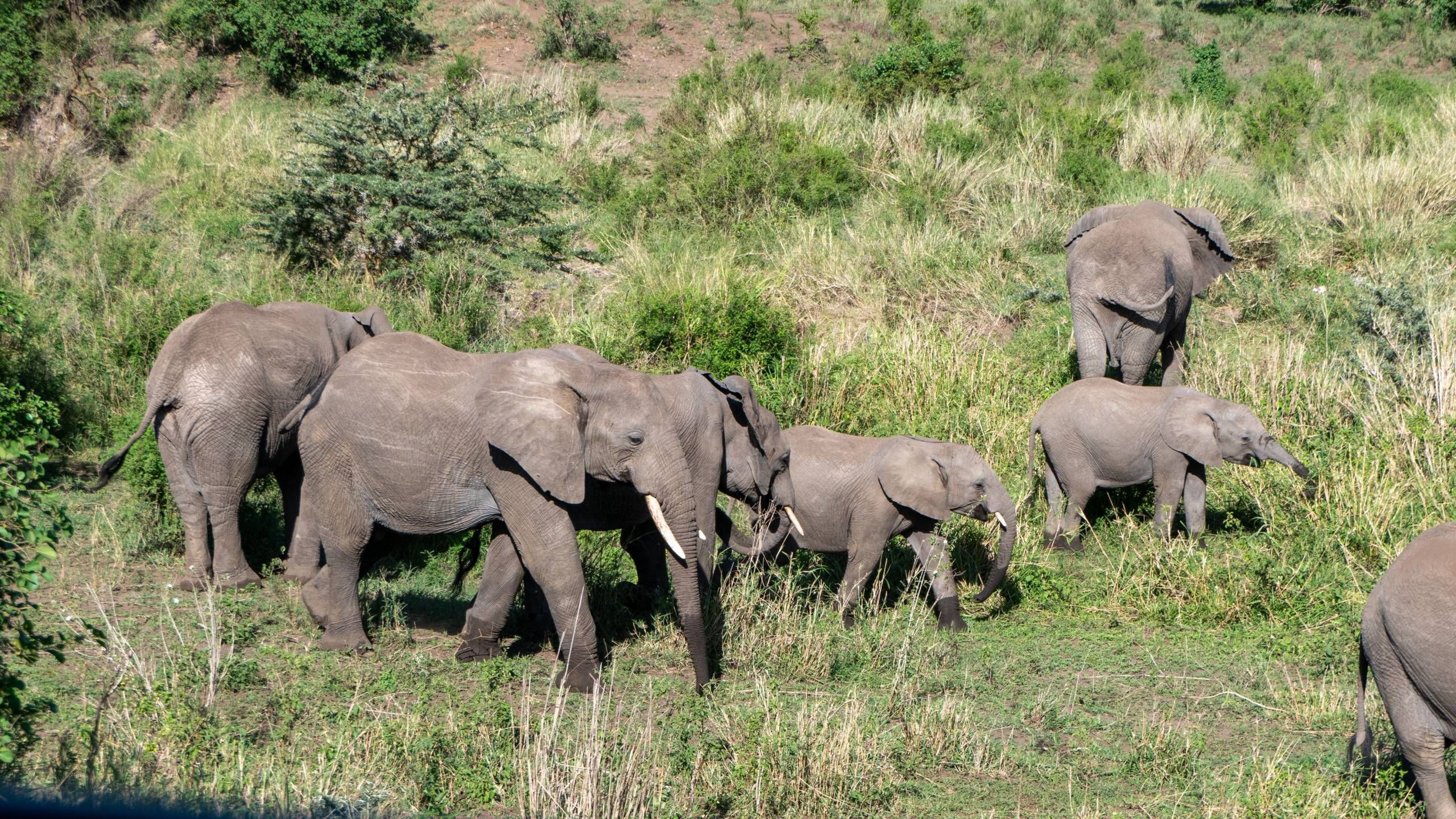 MÄX Gruppe Tansania