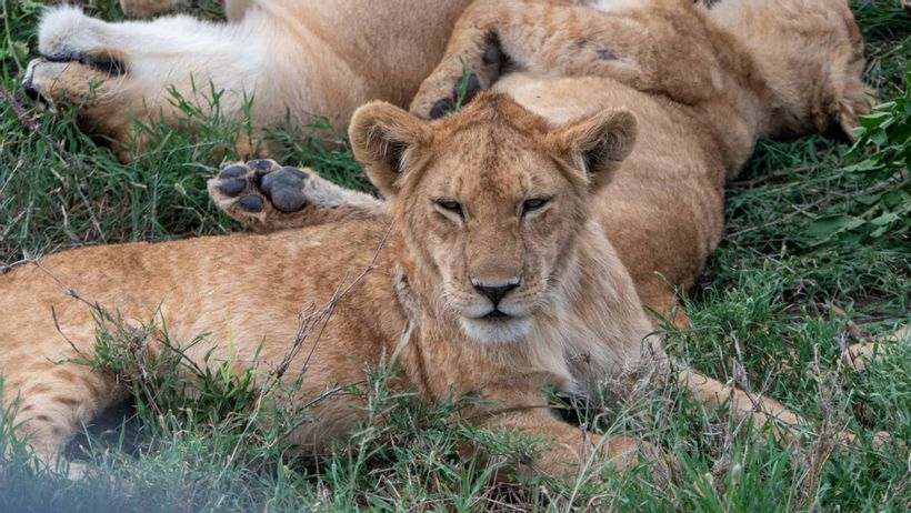 MÄX Gruppe Tansania