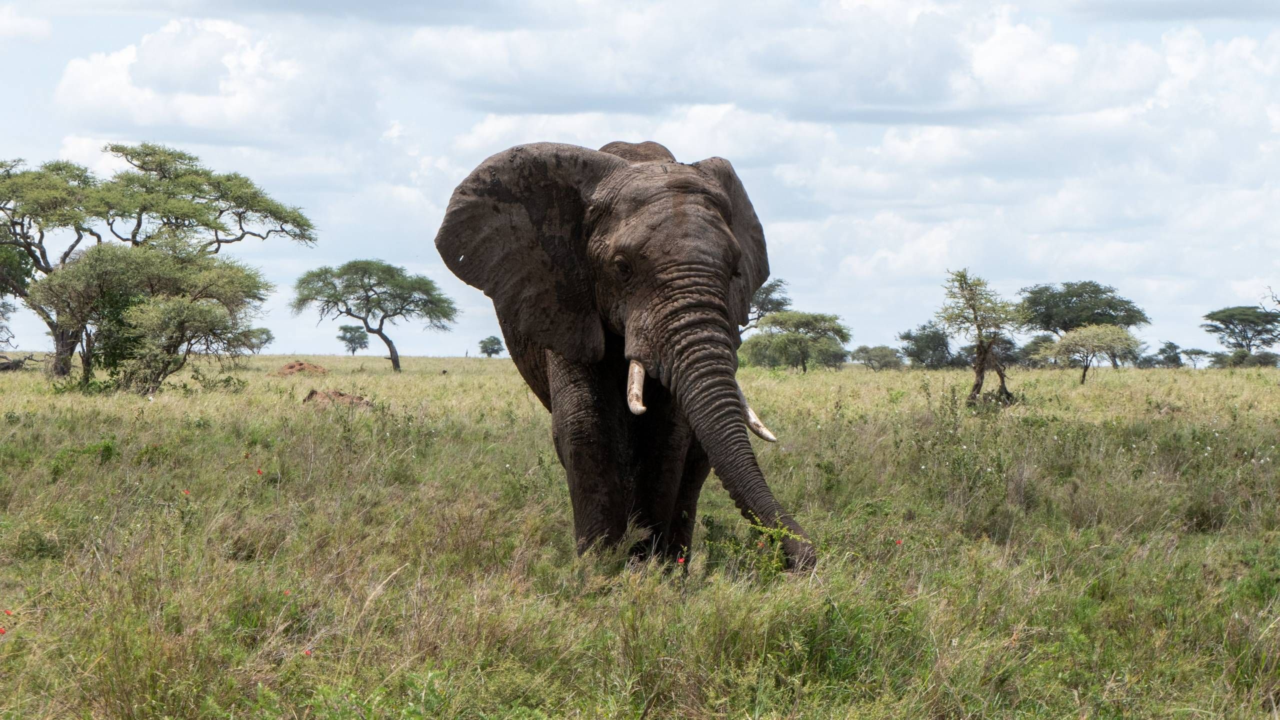 MÄX Gruppe Tansania