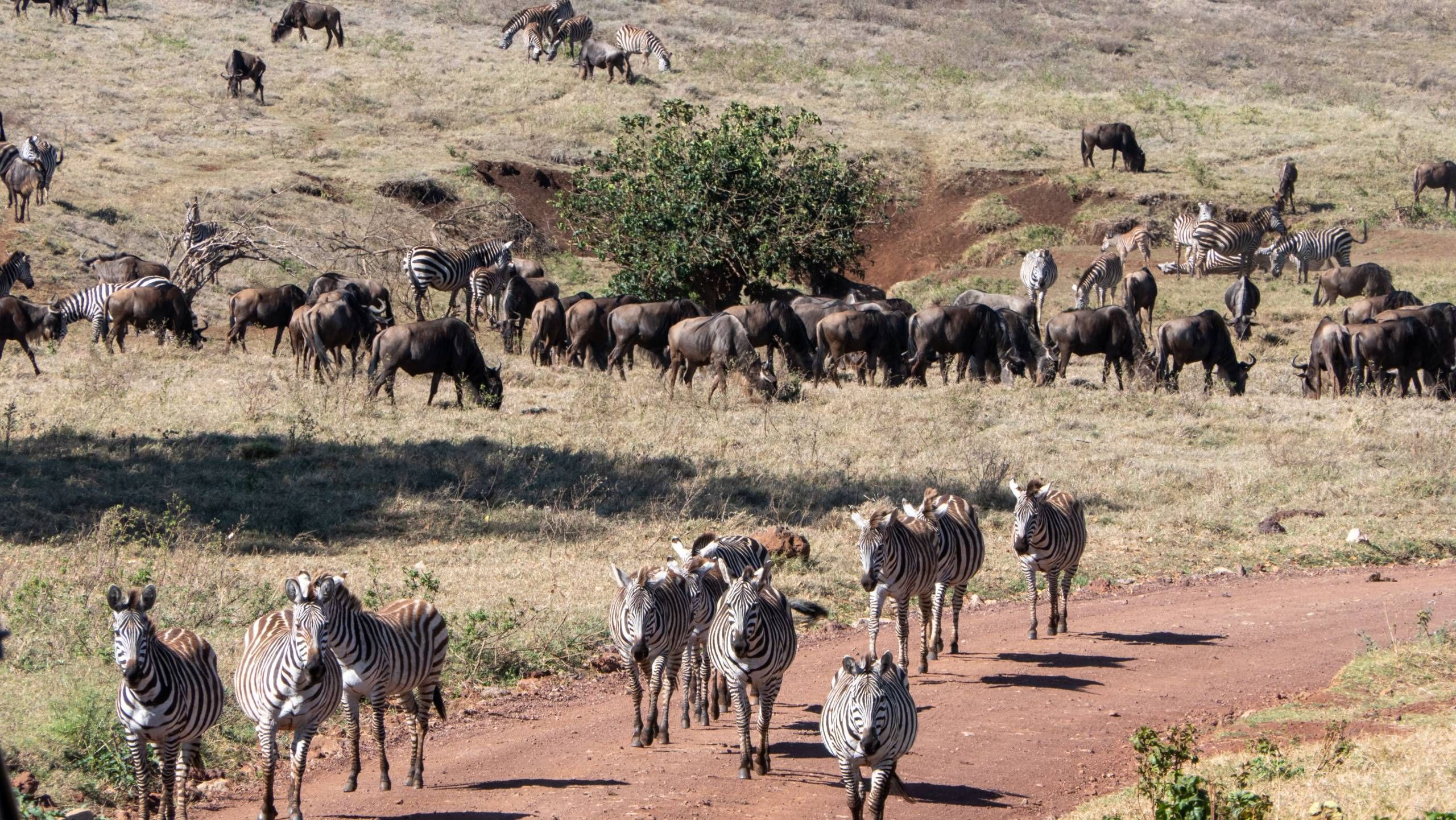 MÄX Gruppe Tansania