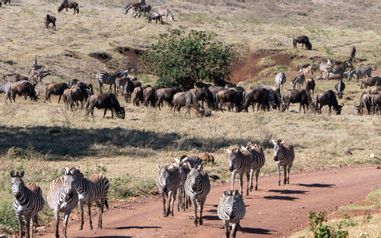 MÄX Gruppe Tansania