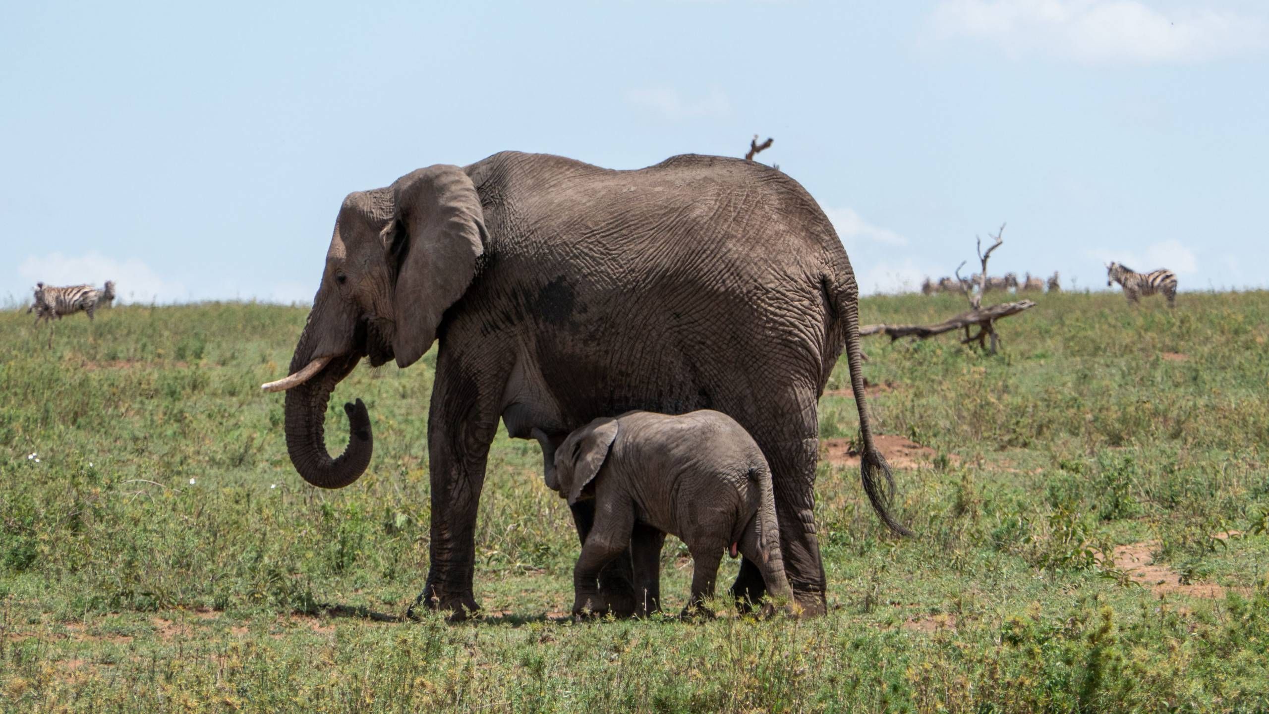 MÄX Gruppe Tansania