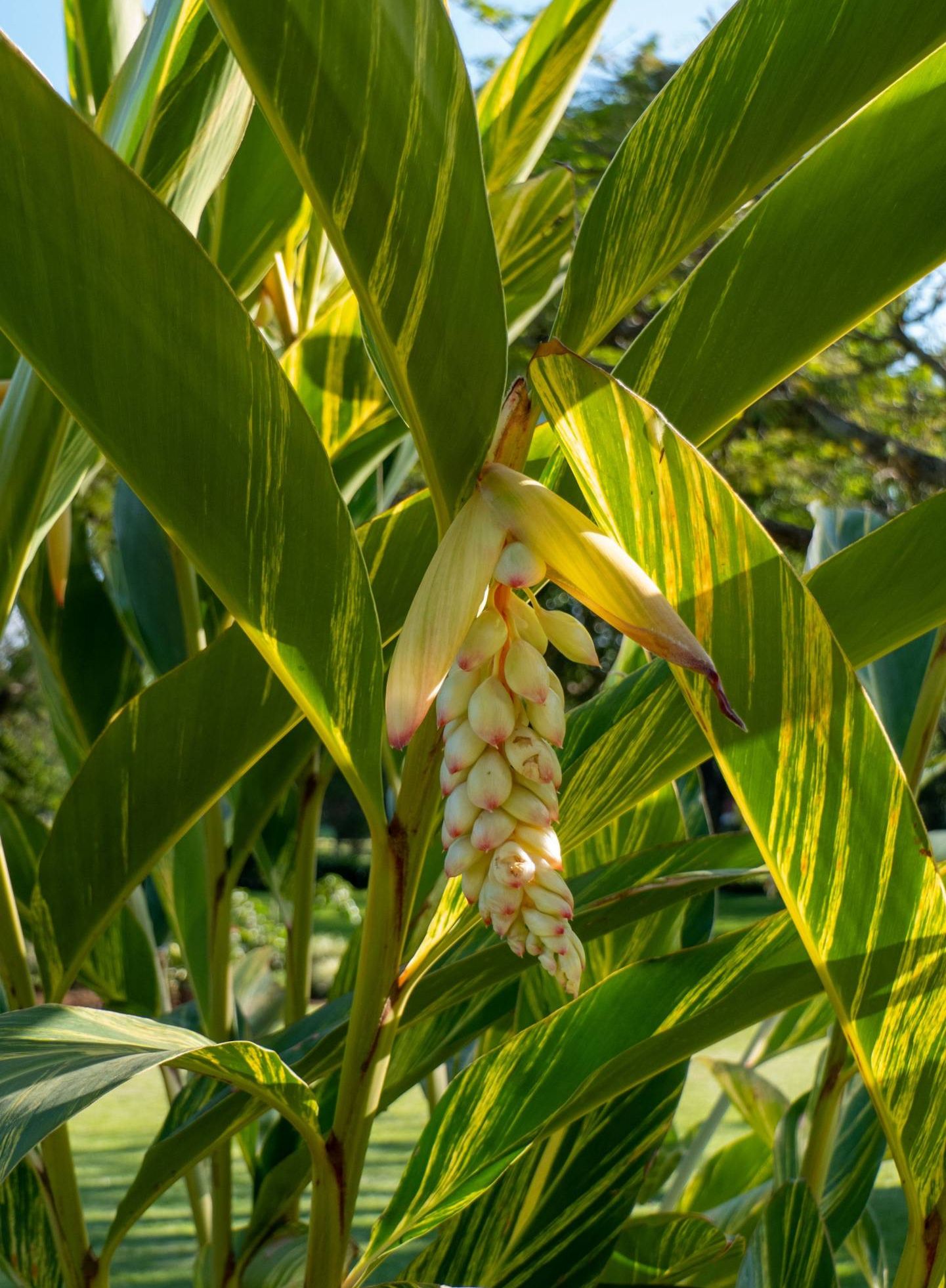 MÄX Gruppe Tansania