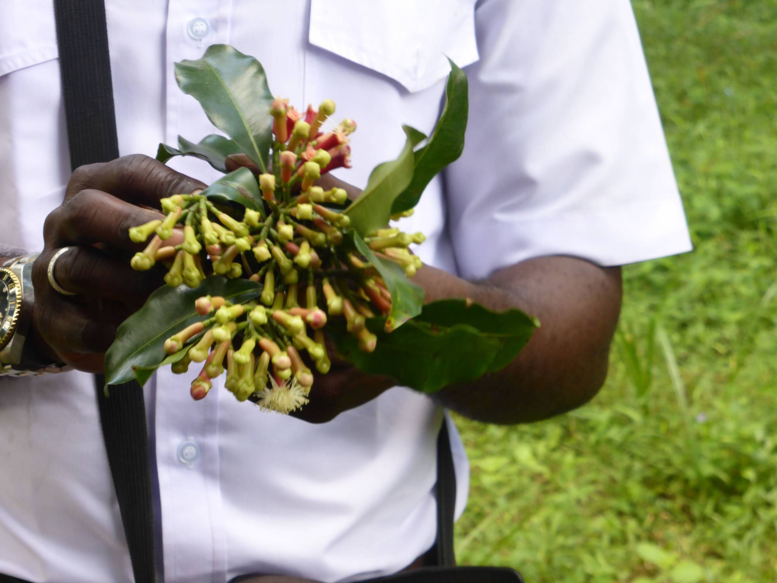 MÄX Gruppe Tansania