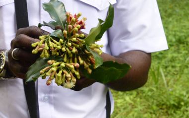 MÄX Gruppe Tansania