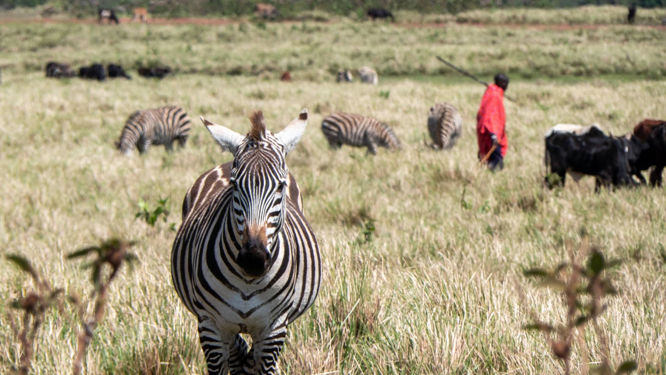 MÄX Gruppe Tansania