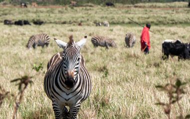 MÄX Gruppe Tansania