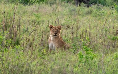 MÄX Gruppe Tansania