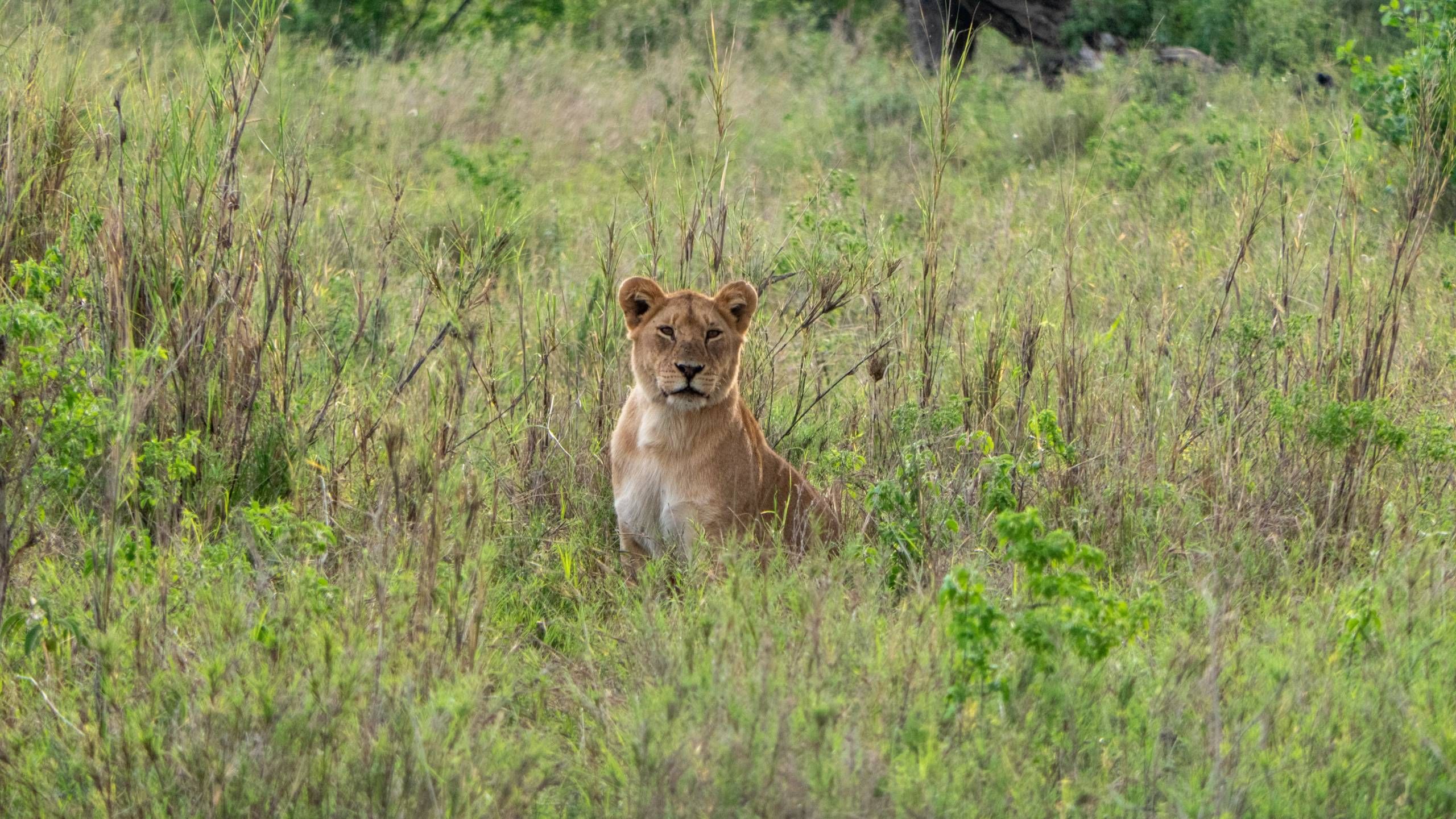 MÄX Gruppe Tansania
