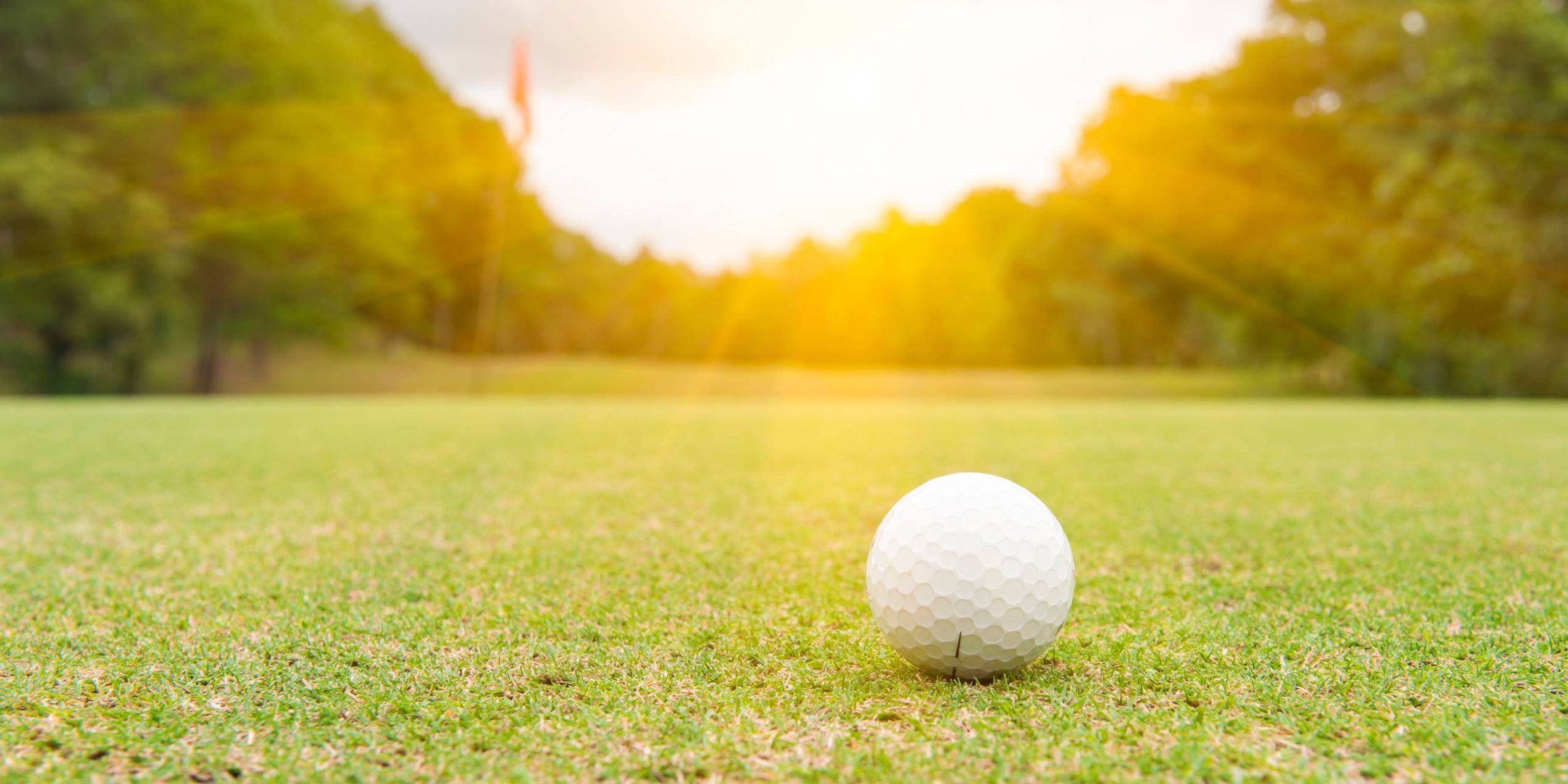 HEADER ROBINSON Nobilis