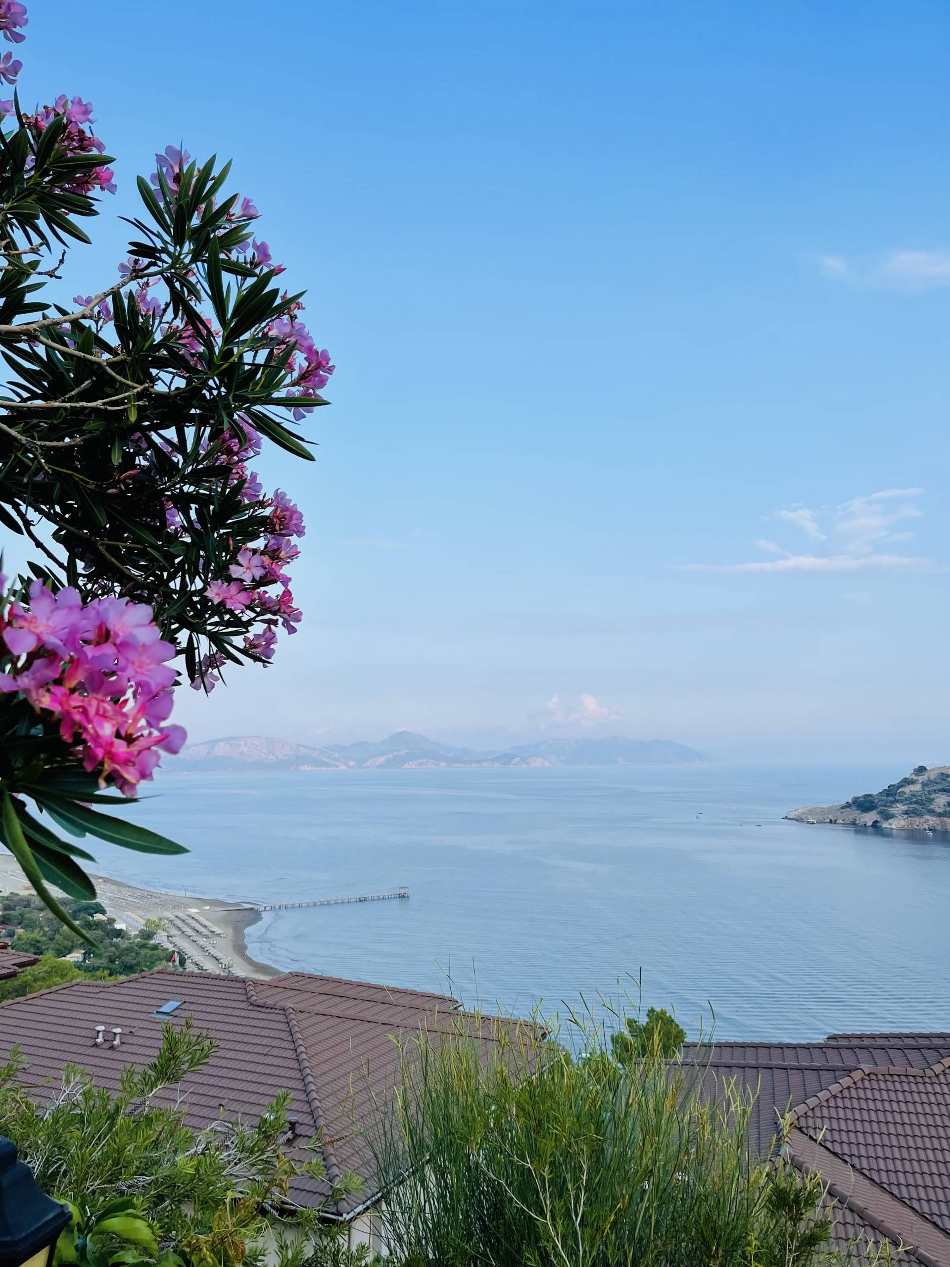 TUI Blue Sarigerme DLM 33