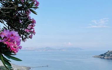 TUI Blue Sarigerme DLM 33