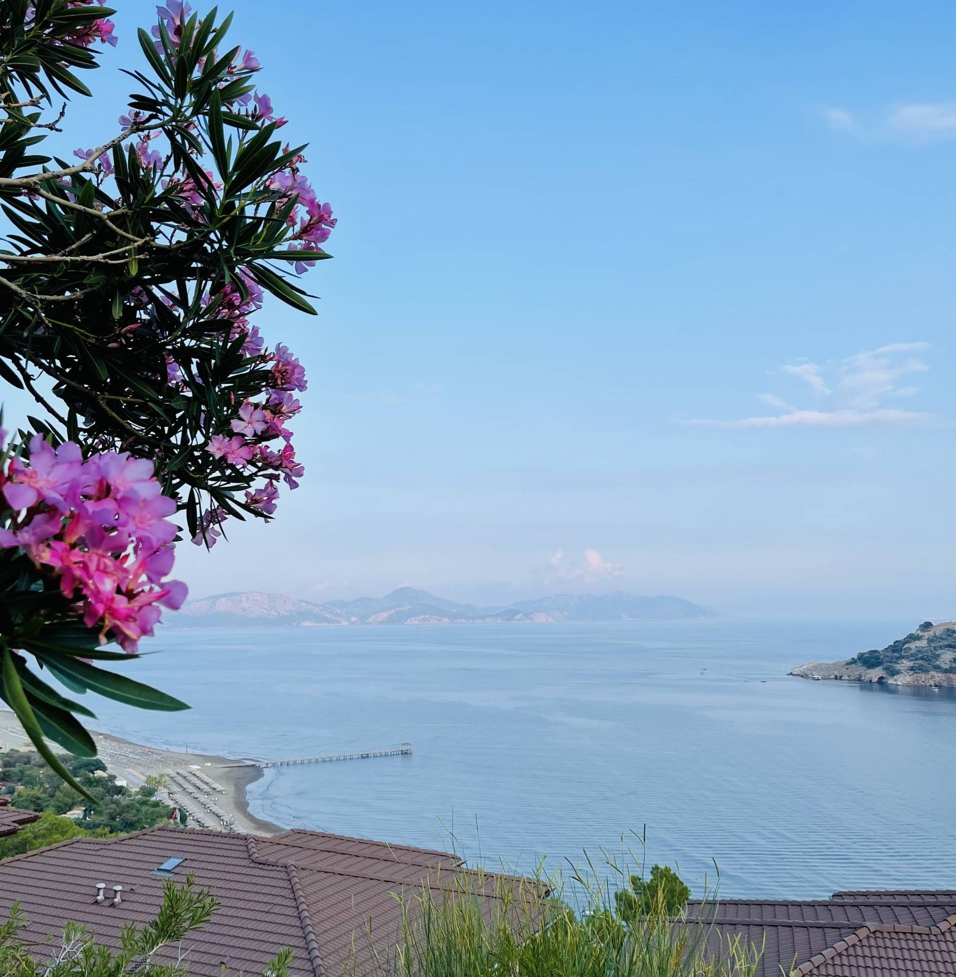 TUI Blue Sarigerme DLM 33