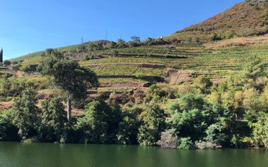 Douro