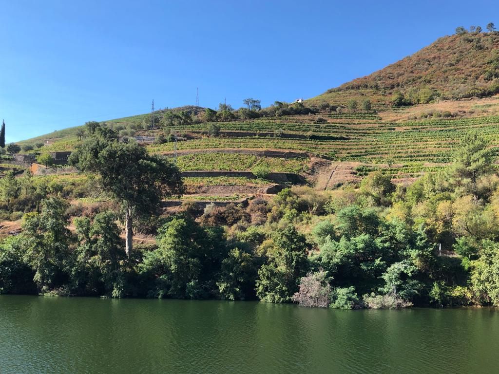 Douro