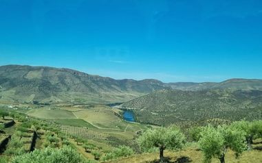 Douro